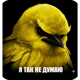 Стикер 11 Birds Memes
