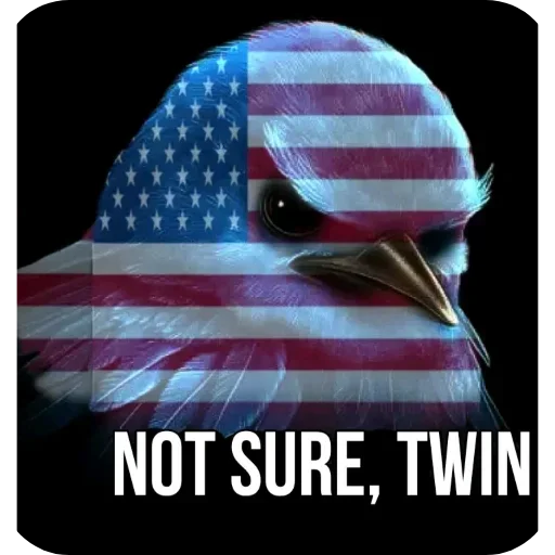 Стикер 49 Birds Memes