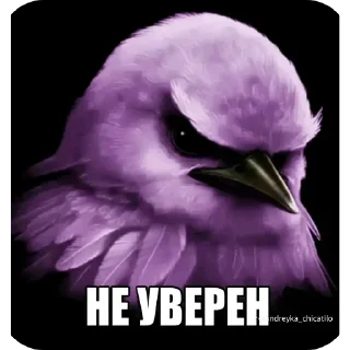 Стикер 14 Birds Memes