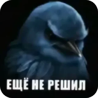 Стикер 27 Birds Memes