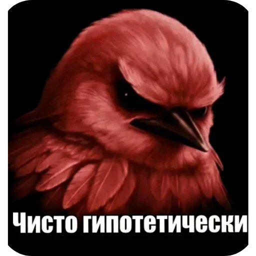 Стикер 60 Birds Memes