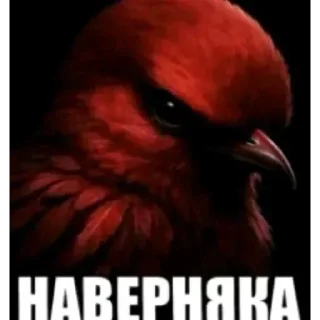 Стикер 21 Birds Memes