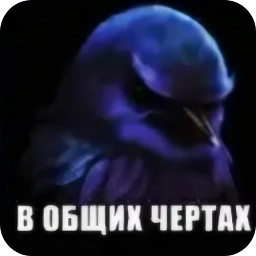 Стикер 56 Birds Memes