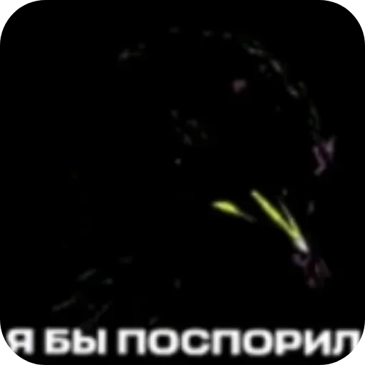 Стикер 55 Birds Memes
