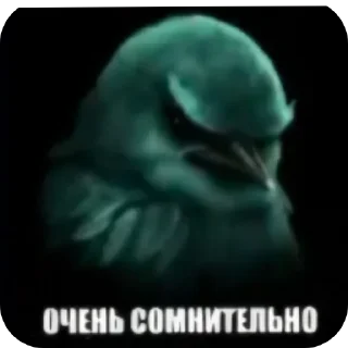 Стикер 34 Birds Memes