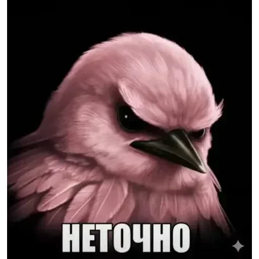 Стикер 42 Birds Memes