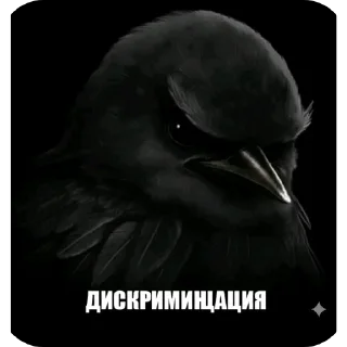 Стикер 13 Birds Memes