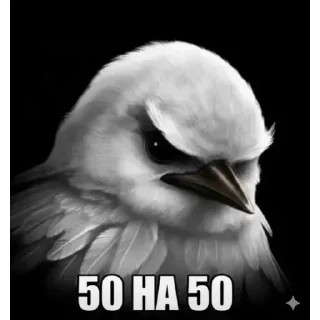 Стикер 3 Birds Memes