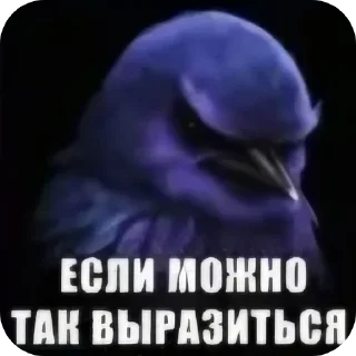 Стикер 22 Birds Memes