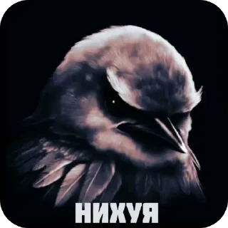 Стикер 39 Birds Memes