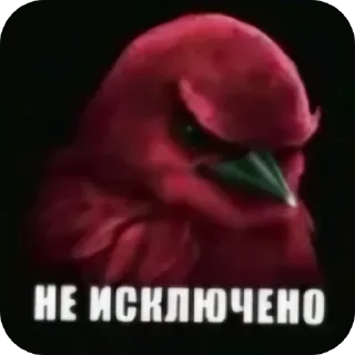 Стикер 30 Birds Memes