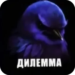 Стикер 23 Birds Memes