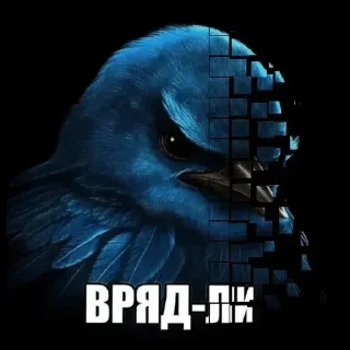 Обложка набора Birds Memes