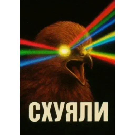 Стикер 48 Birds Memes