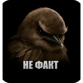 Стикер 10 Birds Memes