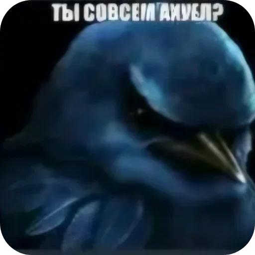 Стикер 57 Birds Memes