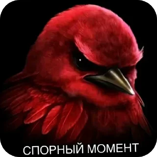 Стикер 19 Birds Memes
