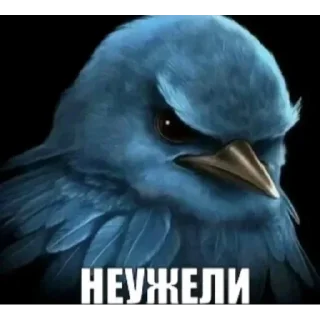 Стикер 4 Birds Memes