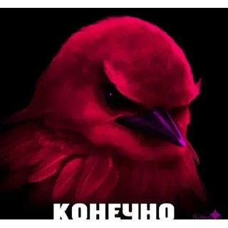 Стикер 5 Birds Memes