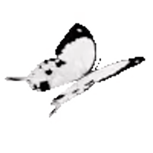 🖤 Эмодзи «Блэк» для Telegram