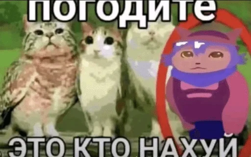 🌟 Стикер «БЛЕНИ Автор» для Telegram