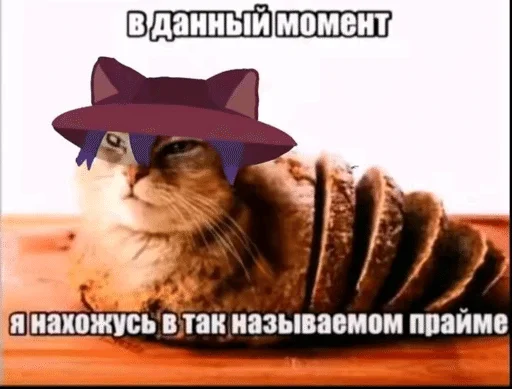 🌟 Стикер «БЛЕНИ Автор» для Telegram
