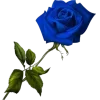 Стикер 33 Blue Magic