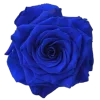 Стикер 32 Blue Magic