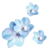 🤩 Эмодзи «𝐵𝘭𝘶𝘦 🌀» для Telegram