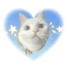 🩵 Эмодзи «𝐵𝘭𝘶𝘦 🌀» для Telegram