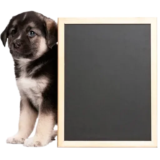 🖼 Стикер «Frame your Text» для Telegram
