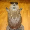 Стикер 4 Бобр