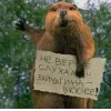 Стикер 6 Бобр