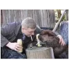 Стикер 7 Бобр