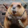 Стикер 13 Бобр