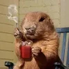 Стикер 11 Бобр