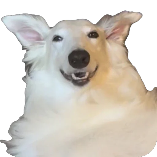 🥰 Стикер «Borzoi Base» для Telegram