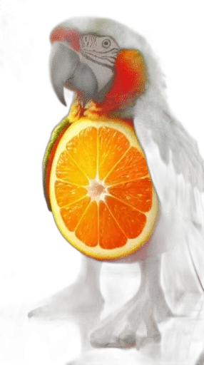 🌟 Стикер «Brainrot memes» для Telegram