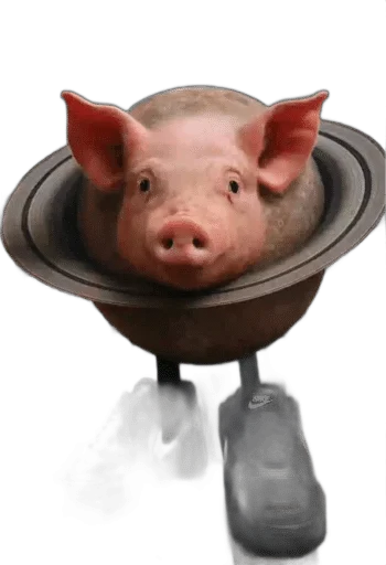 🌟 Стикер «Brainrot memes» для Telegram