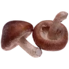 Стикер 58 Brown Food
