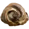 Стикер 34 Brown Food