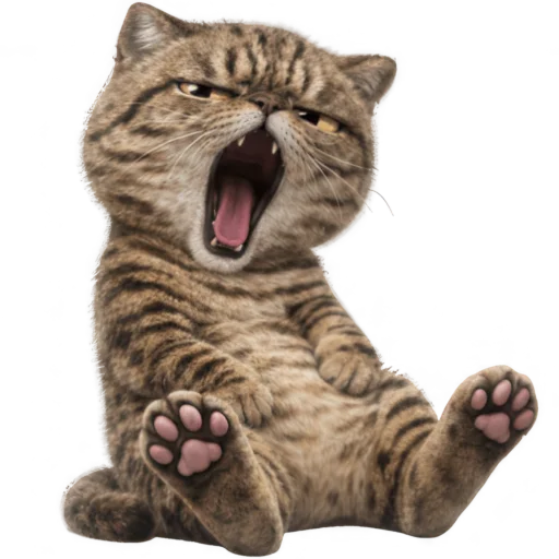 🥱 Стикер «Коричневый котик» для Telegram