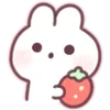 Стикер 15 ୨୧𝒸𝓊𝓉ℯ ໒