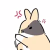 Стикер 40 Rabbit
