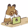 Стикер 24 Rabbit