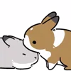 Стикер 4 Rabbit