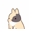 Стикер 2 Rabbit