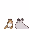 Стикер 26 Rabbit