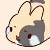 Стикер 50 Rabbit