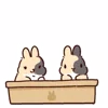 Стикер 35 Rabbit